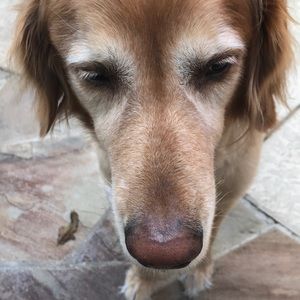 Meet your Posher, Pri